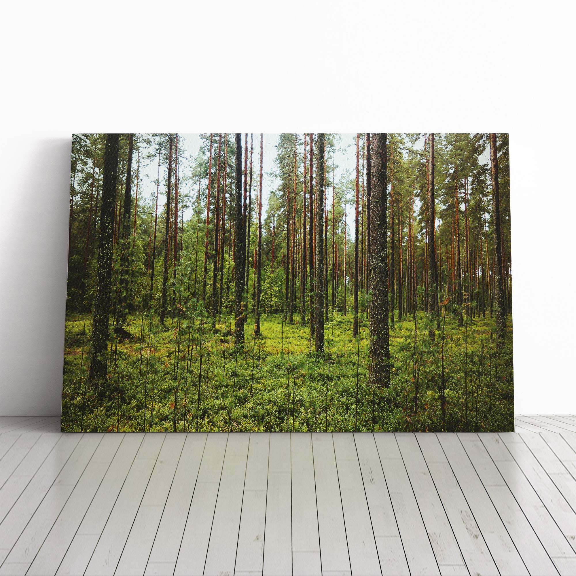 Landscape Green Forest Canvas Print | Gallery Wrapped 30mm Frame Wall Art | 24x16 inches | Ready to Hang | Modern Landscape Picture | Living Room Bedroom Lounge Office