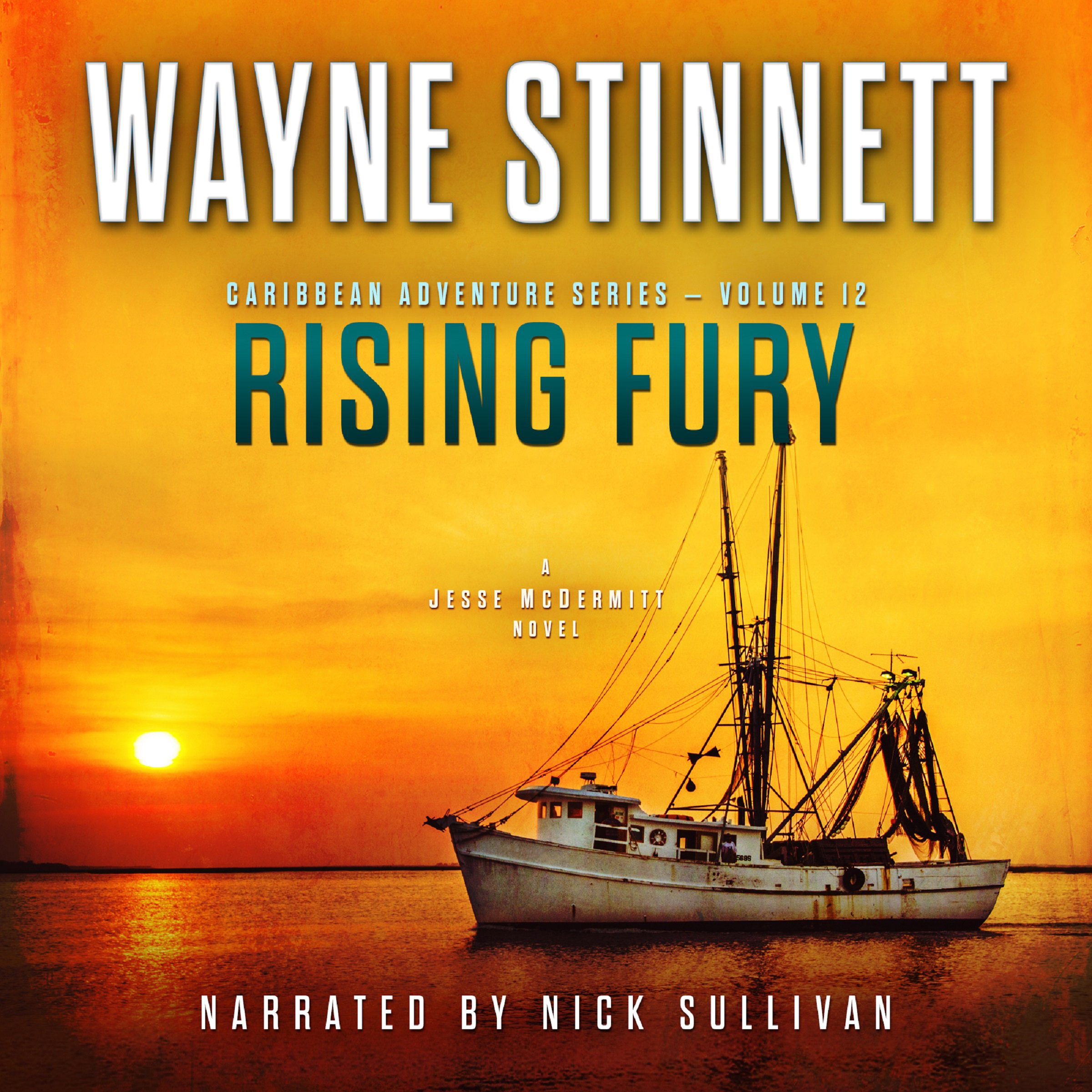 Cover art for Rising Fury: A Jesse McDermitt Novel