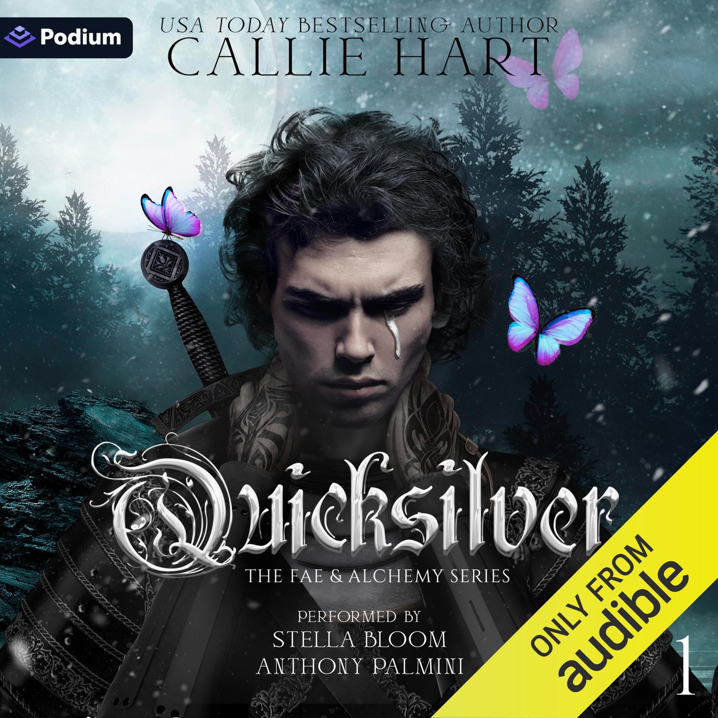 Cover image of Quicksilver by Callie Hart