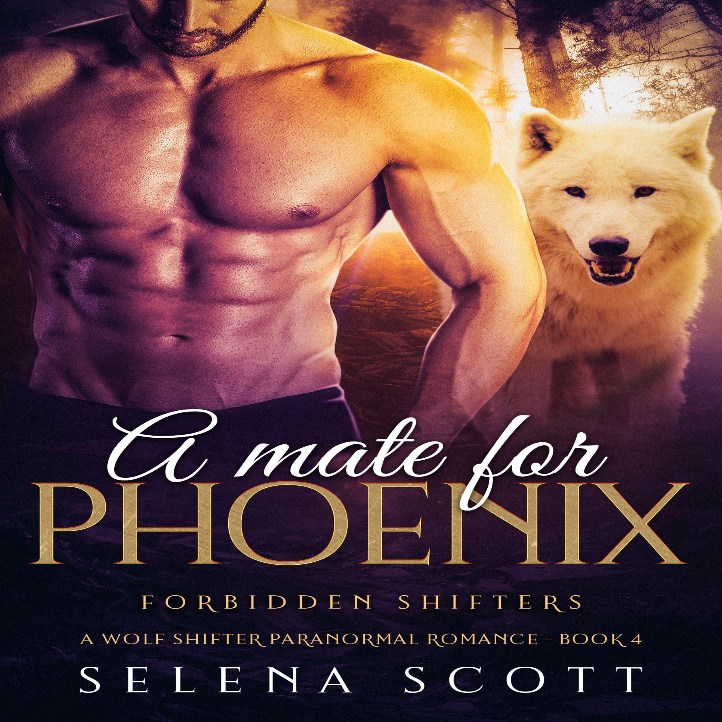 Cover art for A Mate for Phoenix