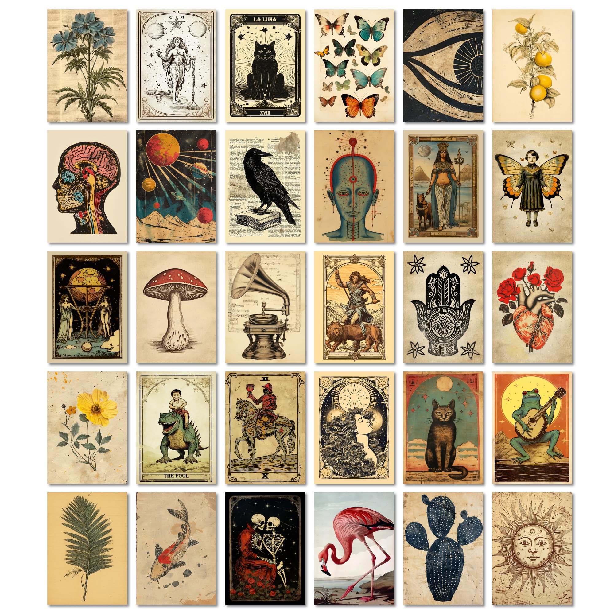 ARTFAVES Set di cartoline Tarocchi vintage I 30 diverse cartoline DIN A6