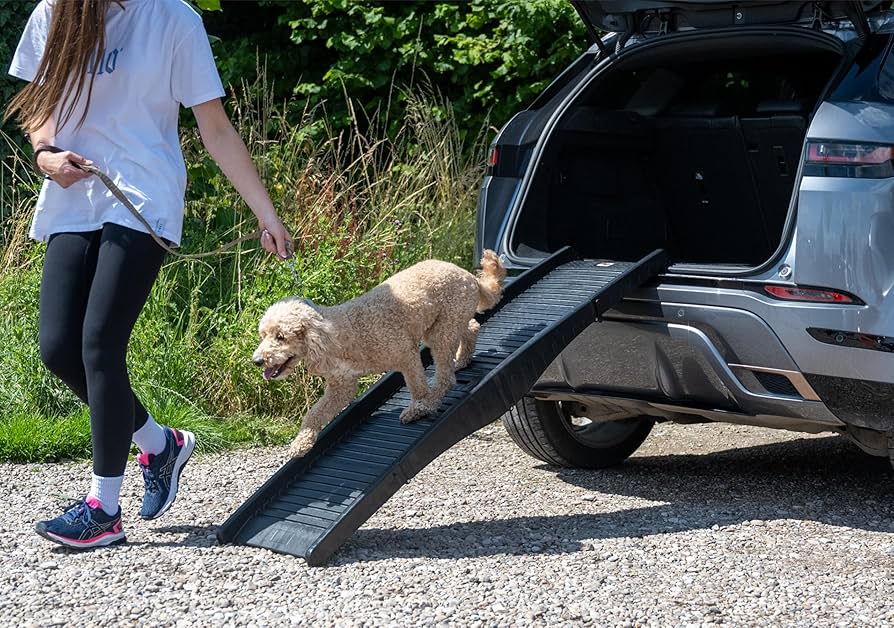 Folding Lightweight Plastic Non-Slip Portable Dog Pet Ramp
