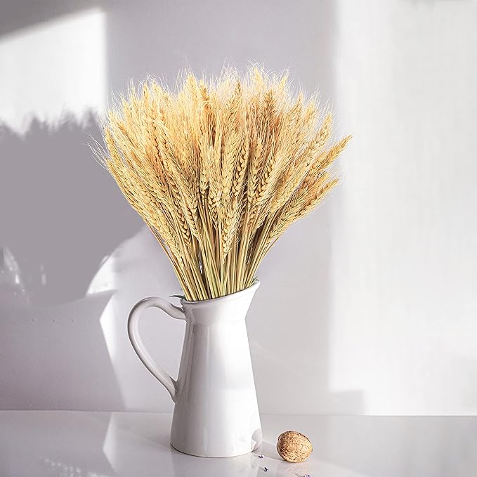 100 Tallos de Trigo Seco Natural 17.7 Pulgadas para Decoración miniatura 9