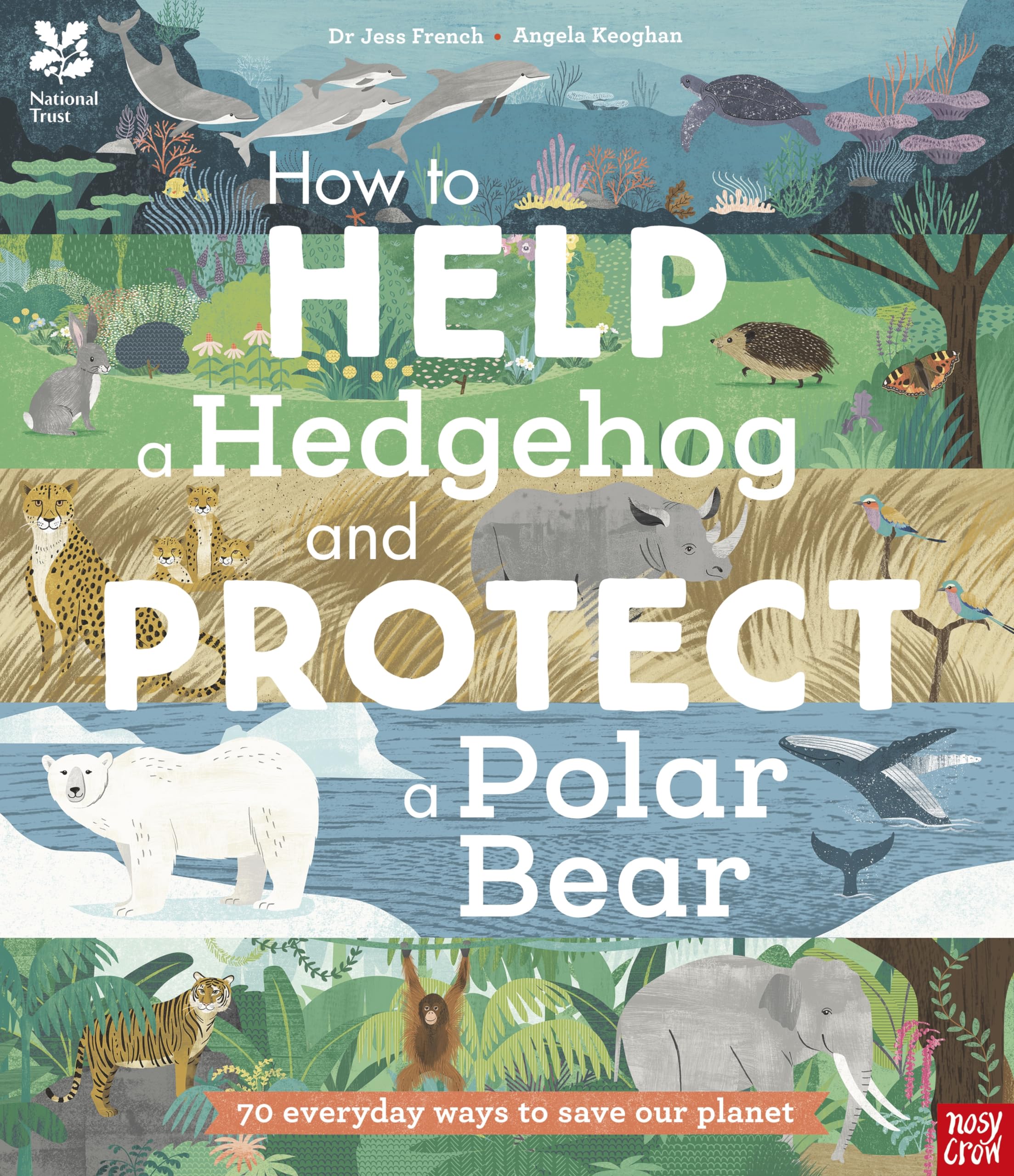 National Trust: How to Help a Hedgehog and Protect by Dr Jess French PAPERBACK