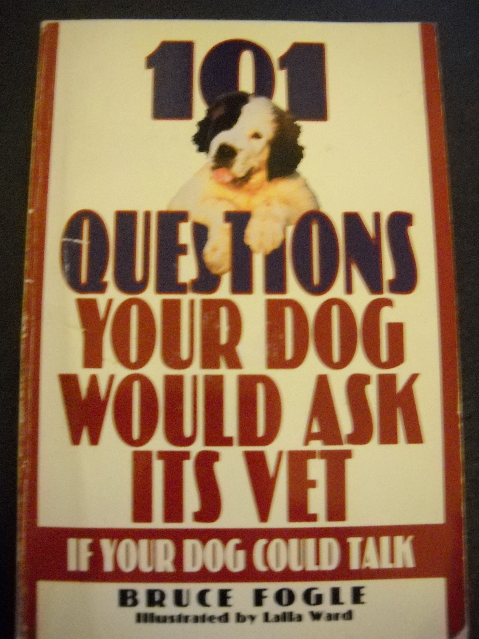 101 Questions Your Dog Would Ask Its Vet If Your Dog Could Talk