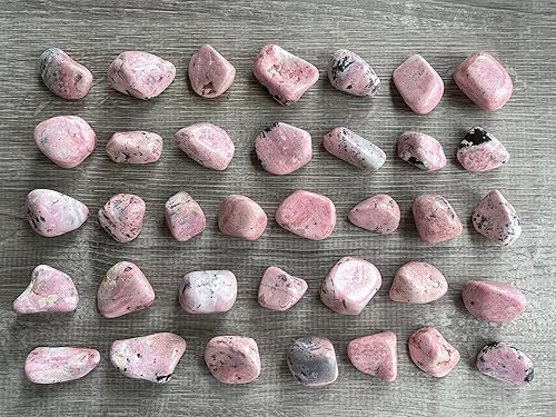 Miniatura 461 de GAF TREASURES Piedras pulidas de ojo de tigre de 1/2 libra, piedra preciosa natural pulida, cristales curativos de ojo de tigre (ojo de tigre)