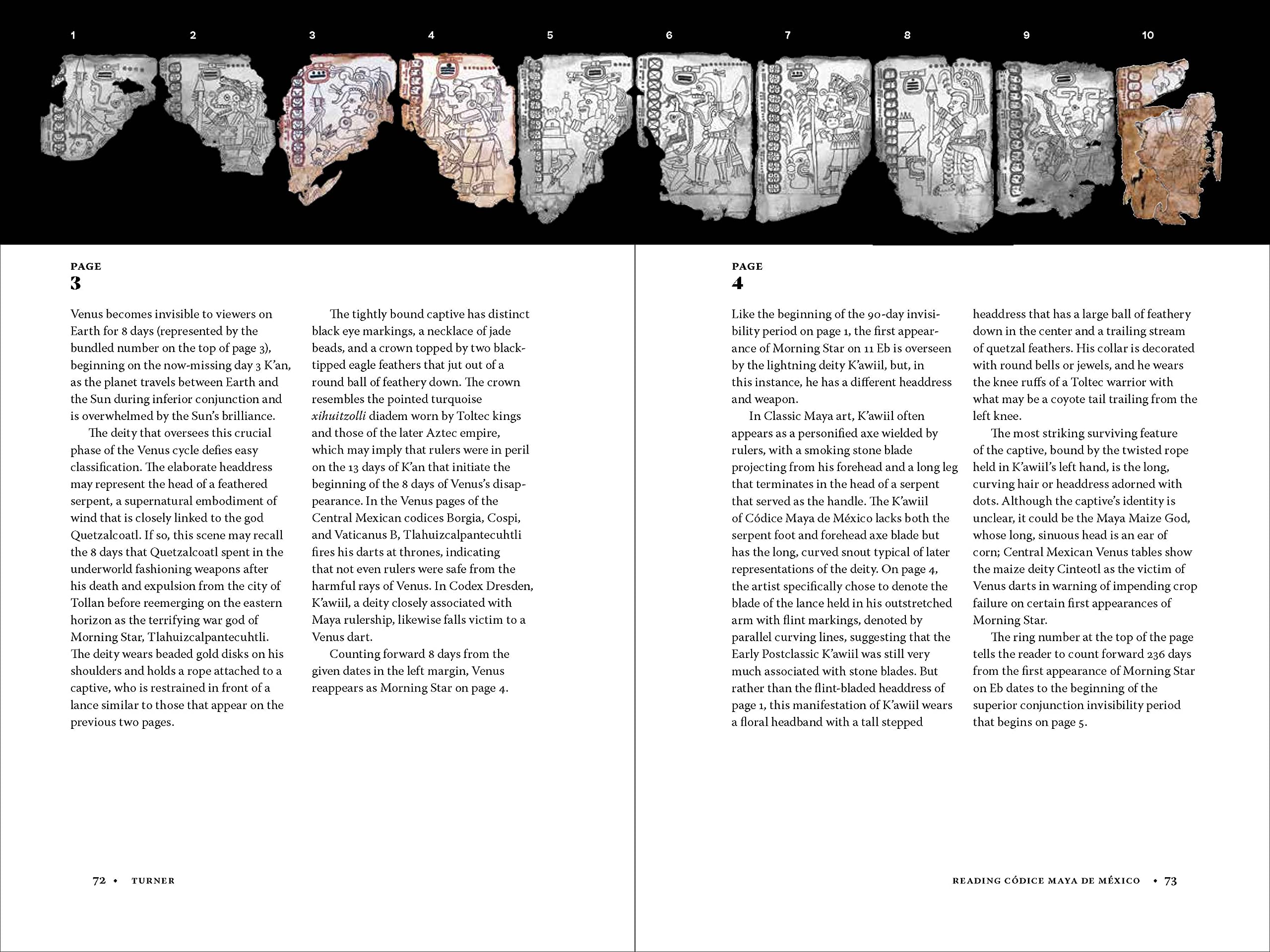 Codice Maya de Mexico: Understanding the Oldest Surviving Book of the Americas