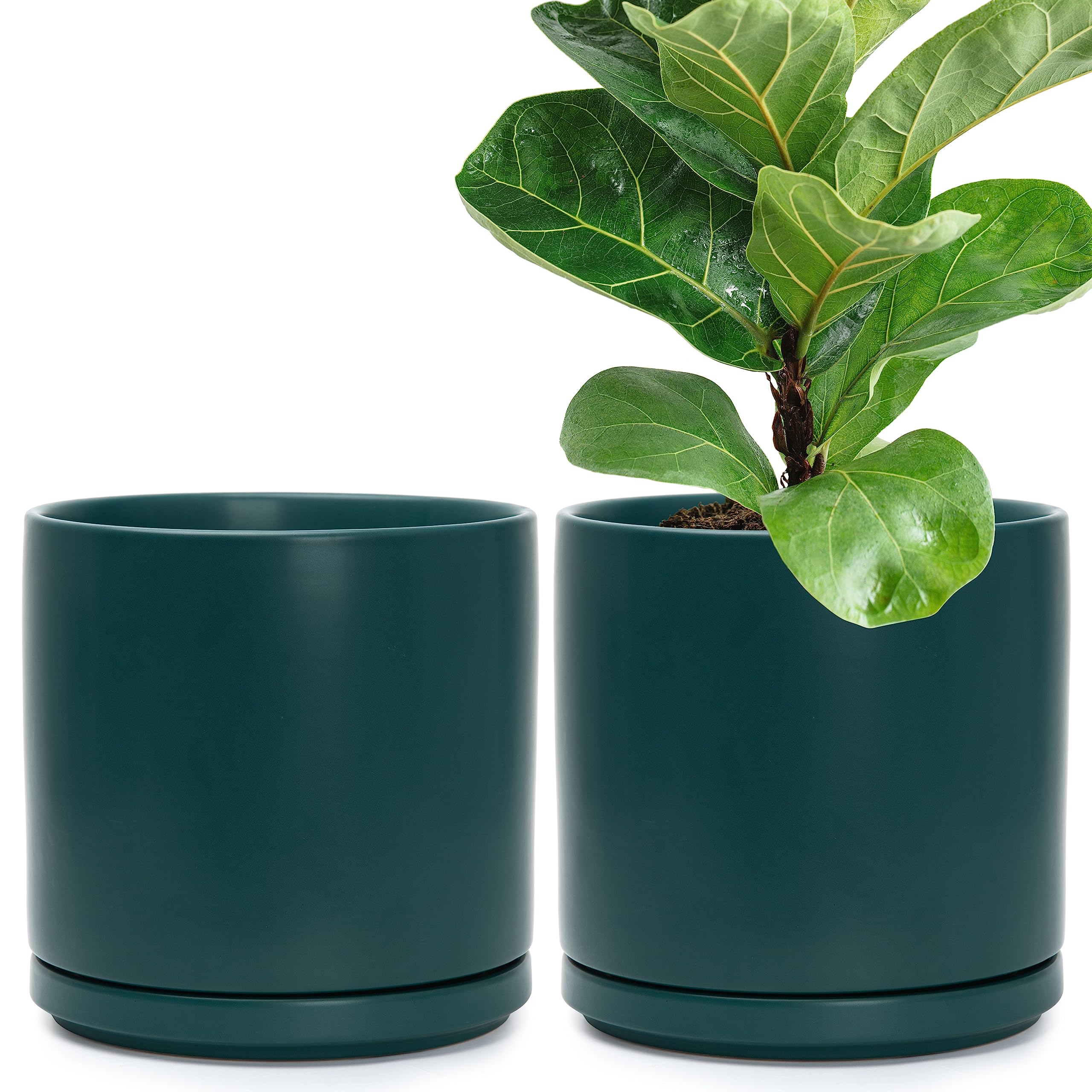 D'vine Dev Set of 2 Plants Pots, 10 Inch Ceramic Planter Pot for Plants with Drainage Hole and Saucer, Teal, 94-V-E-9
