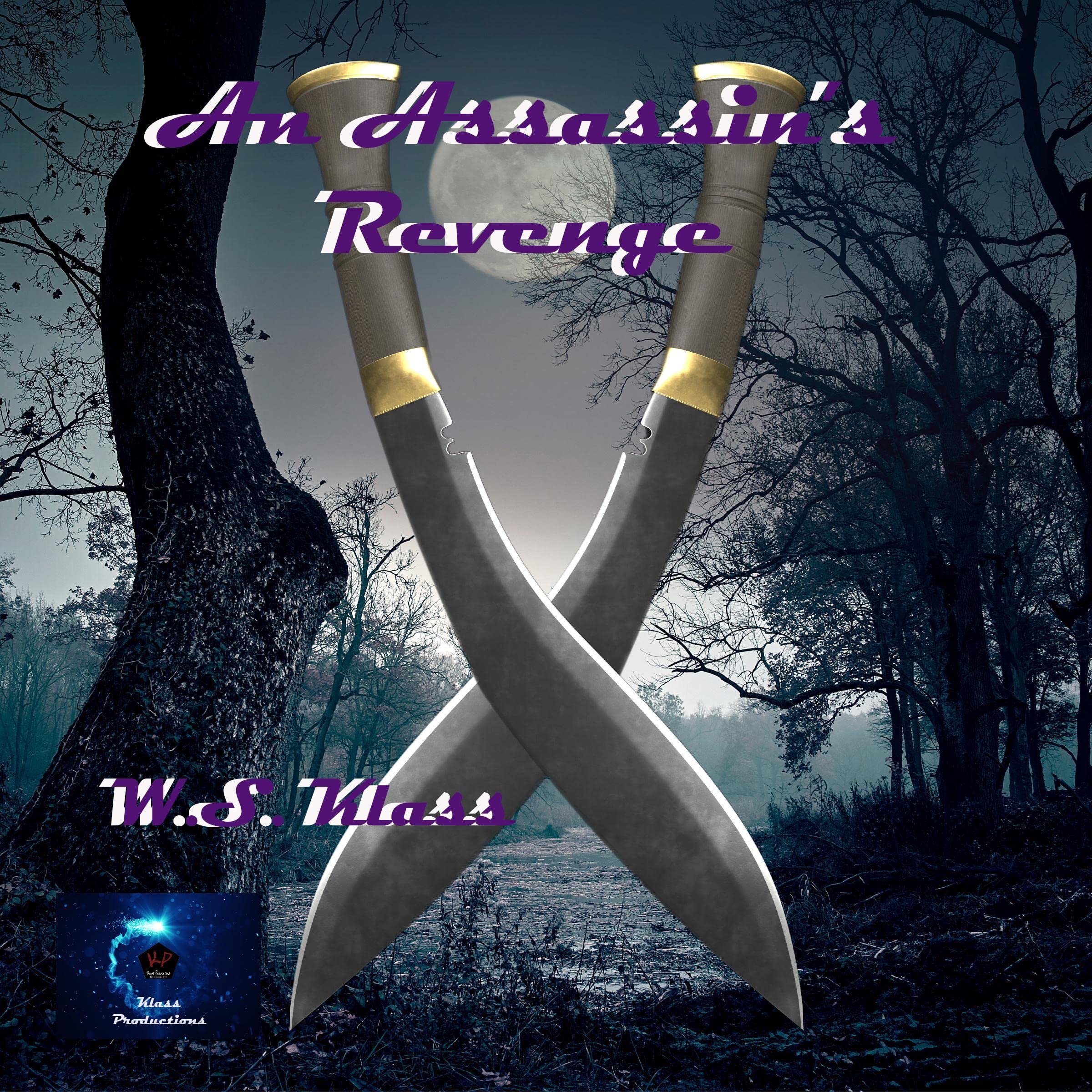 Cover art for An Assassin's Revenge