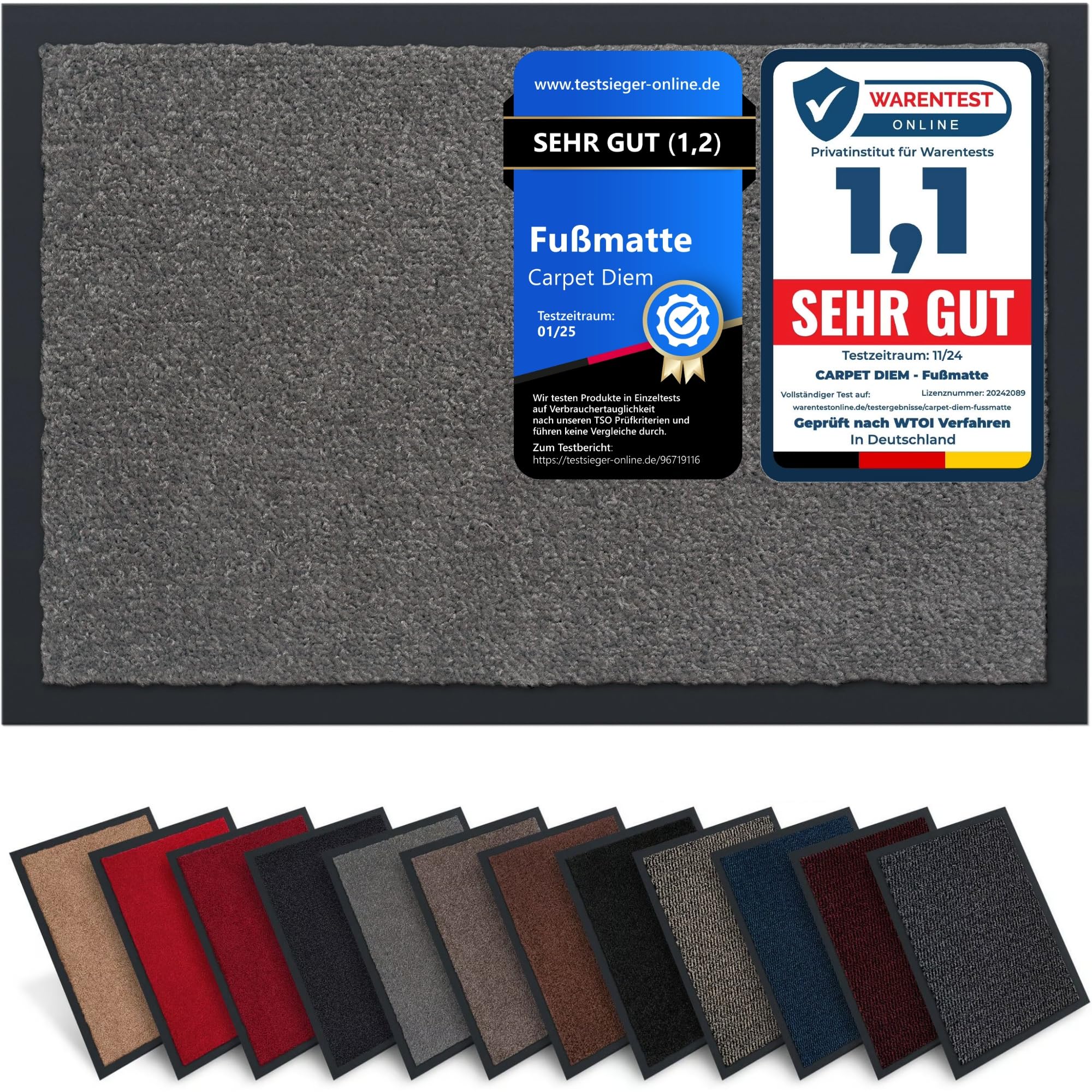 Carpet Diem Fußmatte, einfach sauber I Schmutzfangmatte Eingangsbereich - Fussmatte Innen & Außen, rutschfeste Türmatte, Schmutzfang Teppich für Haustür I Fußabtreter in Grau 60x90 cm