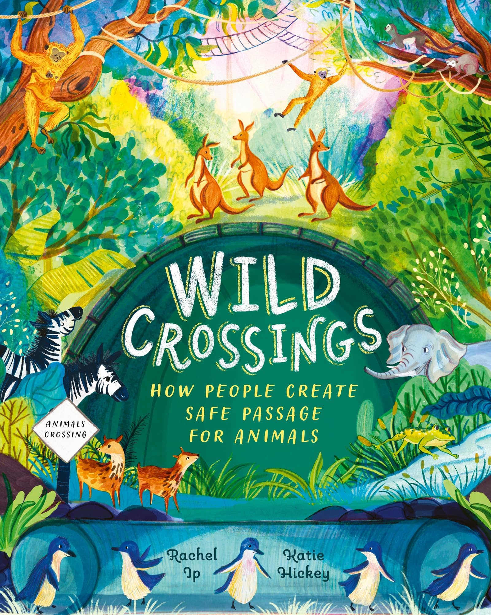 Wild Crossings: How people help animals find their way home