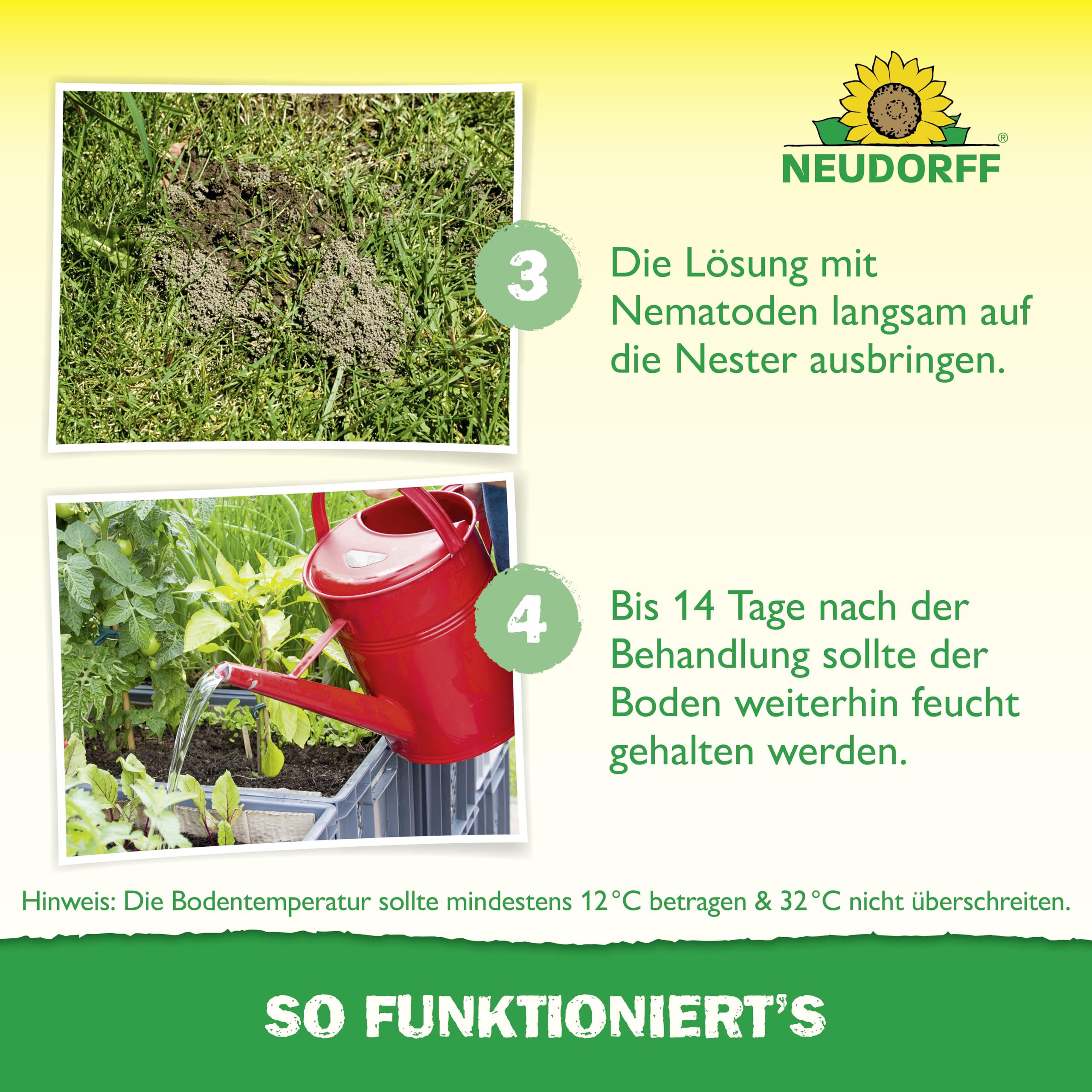 Neudorff Nützlinge gegen Ameisen – 10 Mio. SF-Nematoden zur natürlichen und schnellen Bekämpfung von Ameisen und Ameisennestern auf Rasen, Wegen & Co.