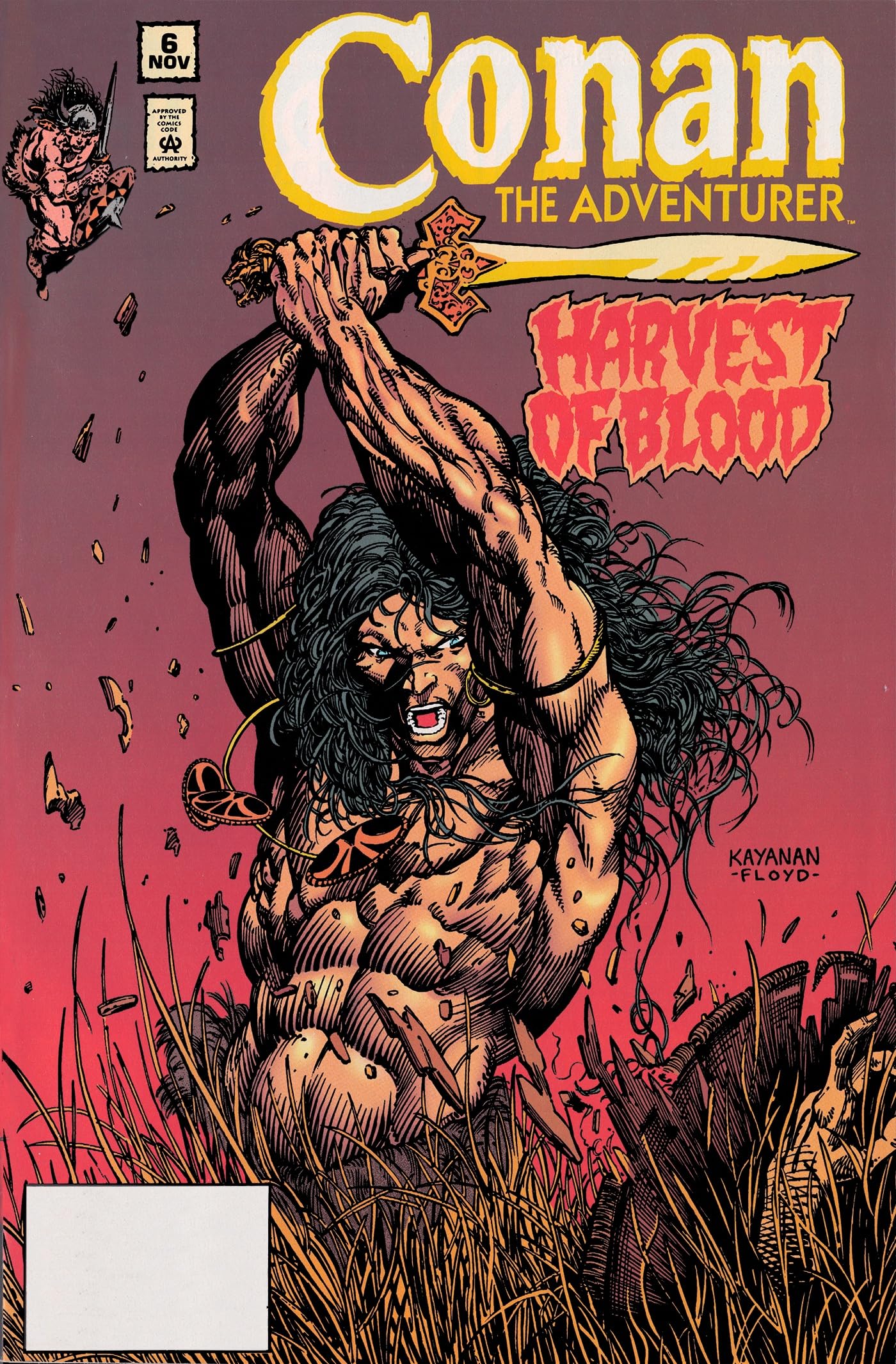 Conan the Barbarian Omnibus 1: Conan the Adventurer: the Original Comics Years Omnibus
