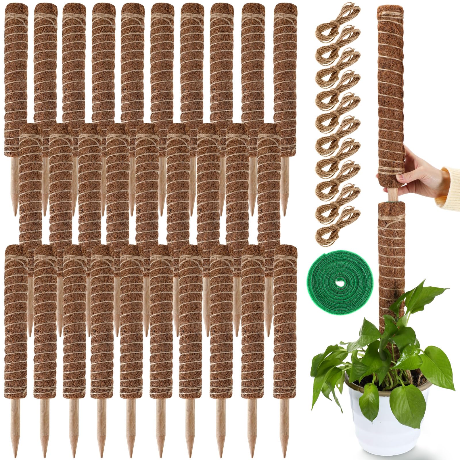 30 Stück Moosstangen für Pflanzen, Monstera, 41.5 cm, Monstera-Pflanzenunterstützung mit 10 Stück 16.5 m Juteseil und 18 m grünes Pflanzenband für Innen- und Außenbereich, Kletterpflanzen th