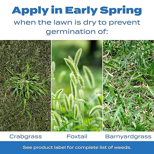 Miniatura 5 de Scotts Detiene el preventor de malezas de pasto cangrejo y hierba, control de malezas preemergente, trata hasta 10,000 pies cuadrados, 20.12 libras