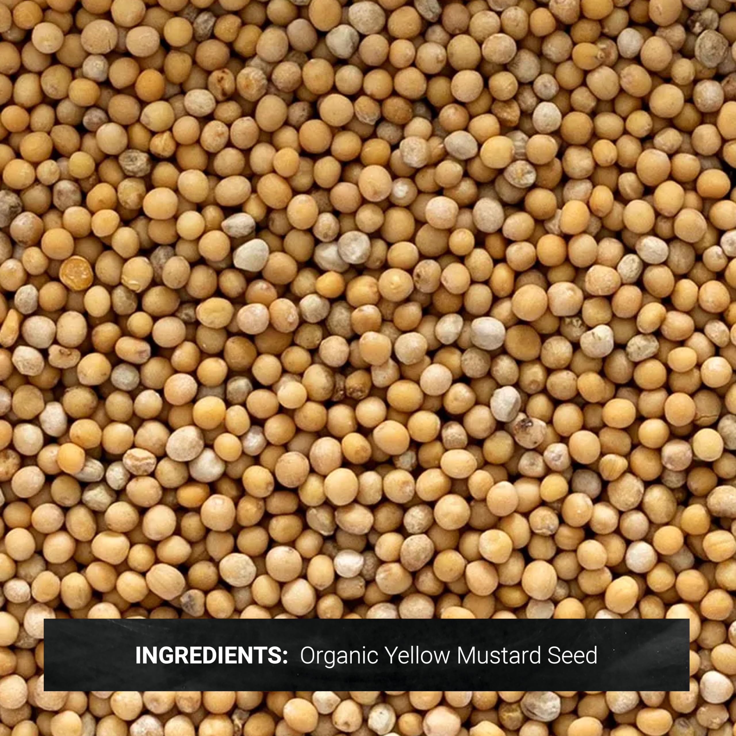 Frontier Co-op Organic Whole Yellow Mustard Seed 1-pound Bulk Bag Mild Spiciness for Soup Pickling and More Kosher product thumbnail 3