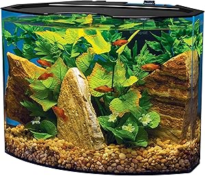The 10 Best Betta Fish Tanks 9 91UMvs003YL. AC SL300