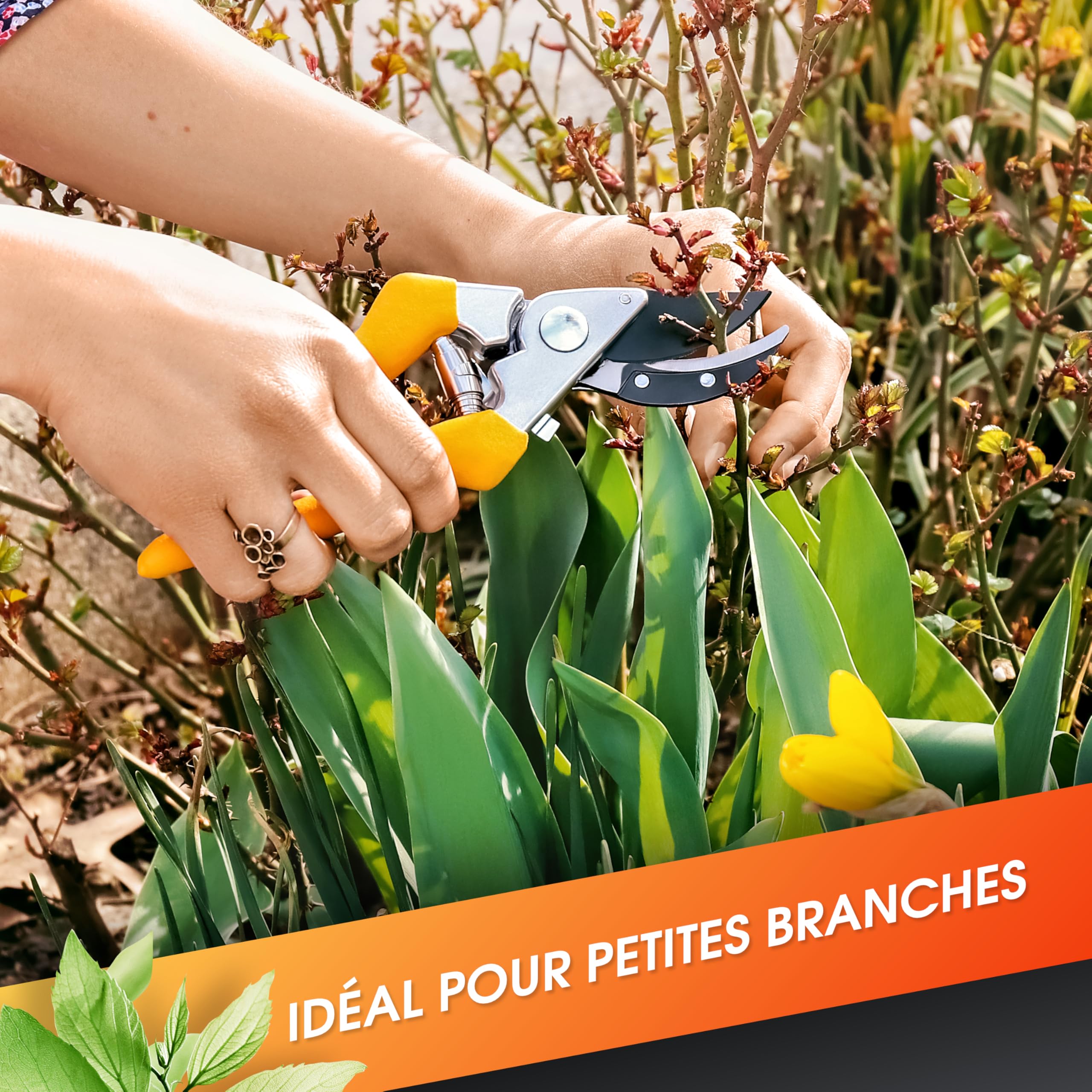 Sécateur De Jardin Professionnel Silvercut 230 Mm, Ciseaux Jardinage