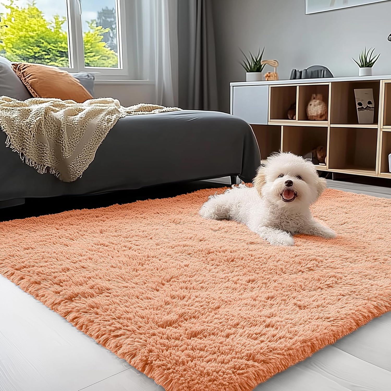 OLANLY 3x5 Machine Washable Small Bedside Rug, Soft Fluffy Shaggy Rugs for Living Room, Bedroom, Indoor Floor Carpet for Kids Girls and Boys, Preppy Dorms, Nursery, Home Decor Aesthetic, Muted Orange