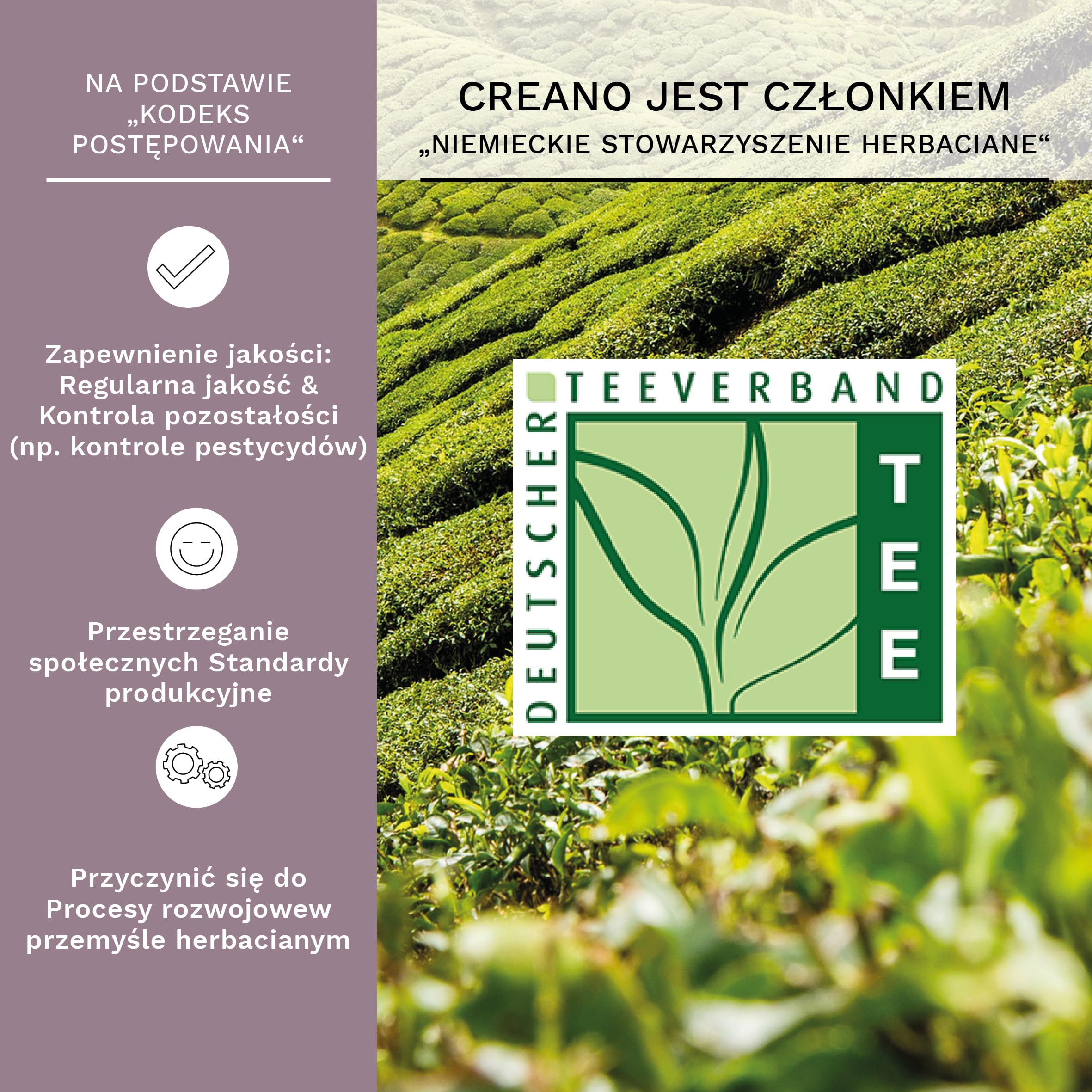 Creano „Flowering Tea” – herbata kwitnąca, pudełko prezentowe, 6x czarna