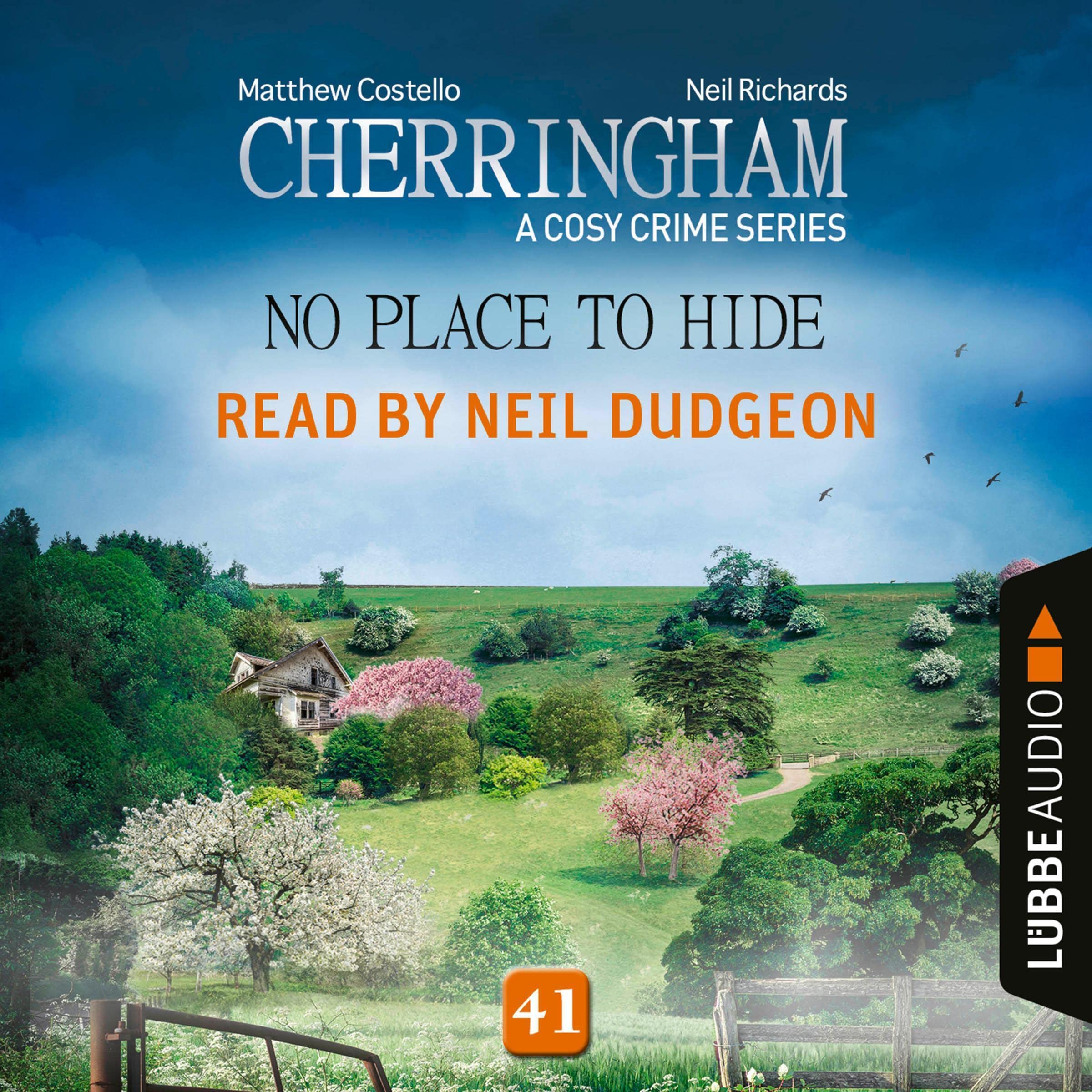 Cover art for No Place to Hide