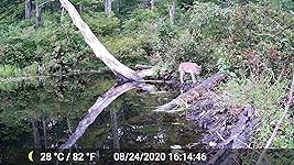 Review Image by cmwnar cmwnar