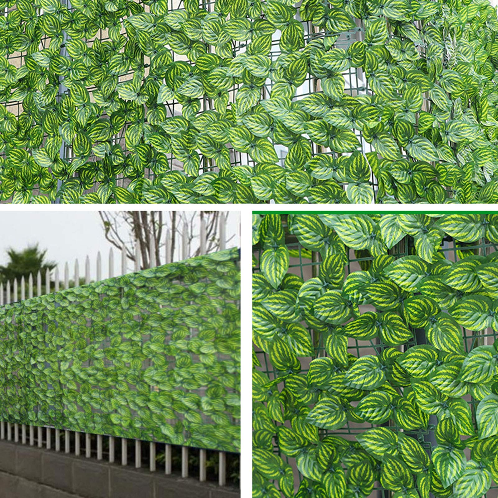 elefantenfuß mini XXL Elefantenfuß Nolina kaufen – Green Me Up main image 0