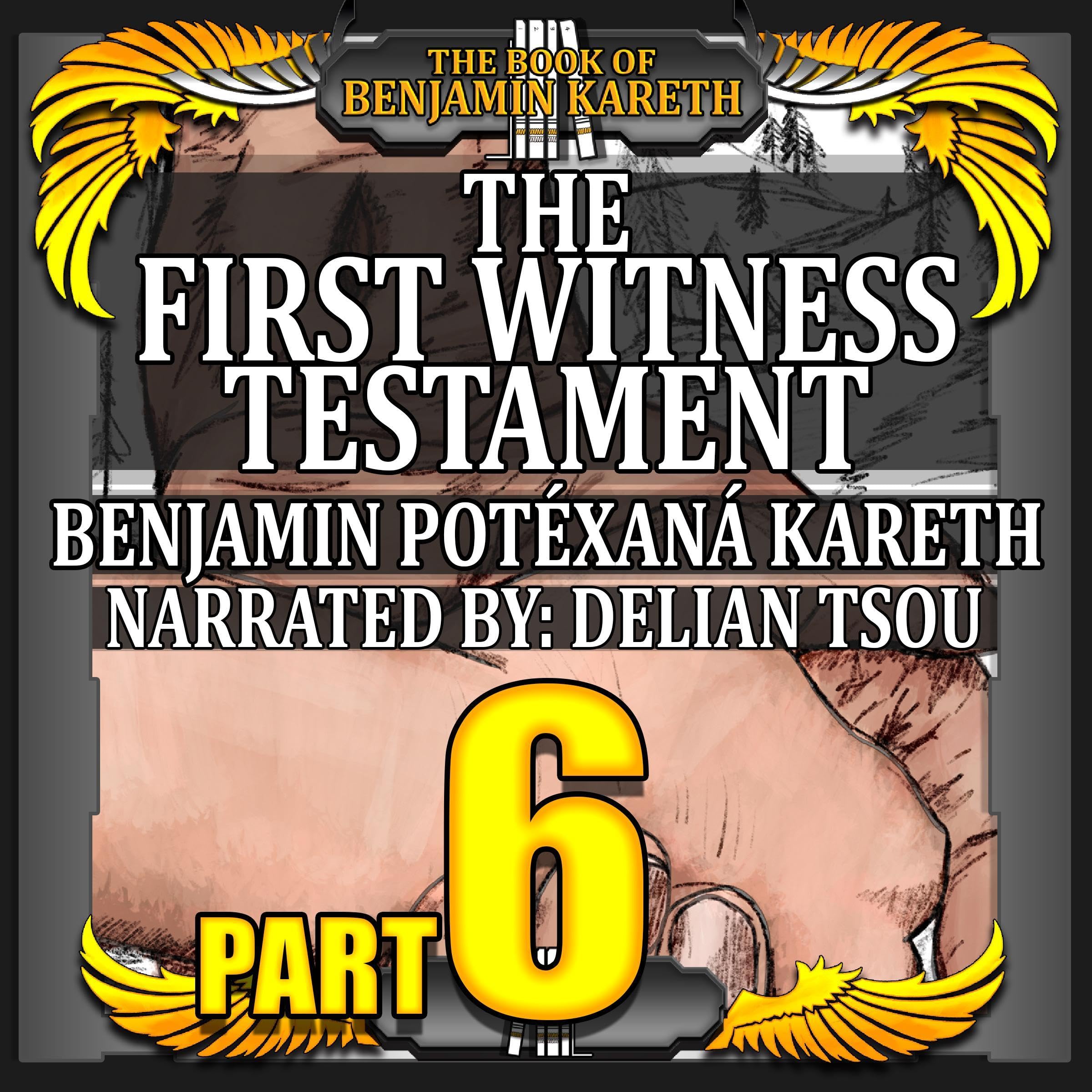Cover art for The First Witness Testament