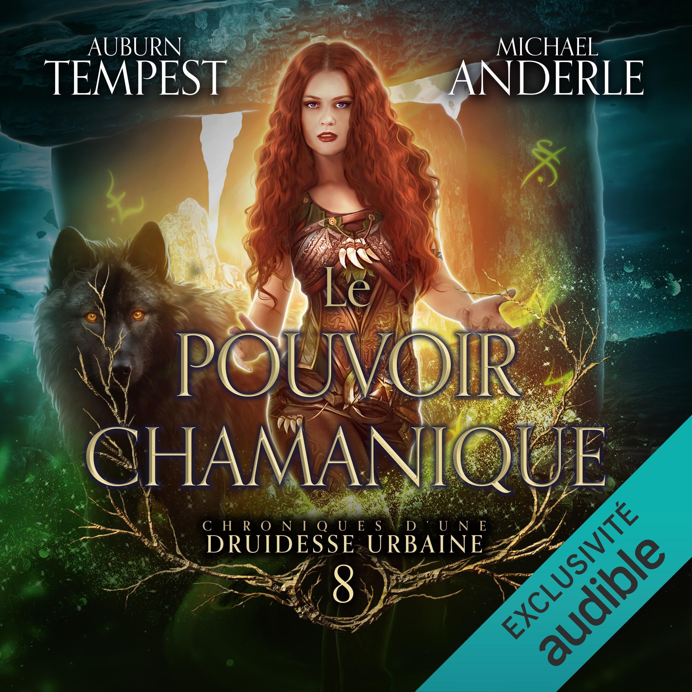 Cover art for Le pouvoir chamanique