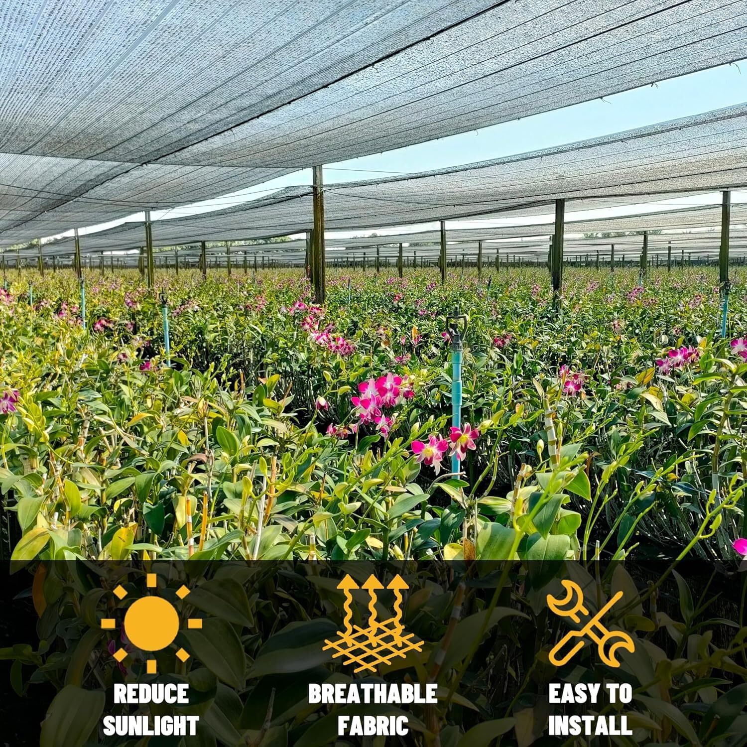 ColourTree 70% Black Shade Cloth Custom Size 2FT x 6FT Mesh Tarp, UV Resistant Netting with Upgrade Grommets for Plant Cover, Greenhouse, Chicken Coop, Barn, Kennel, Garden. (We Make Custom Size)