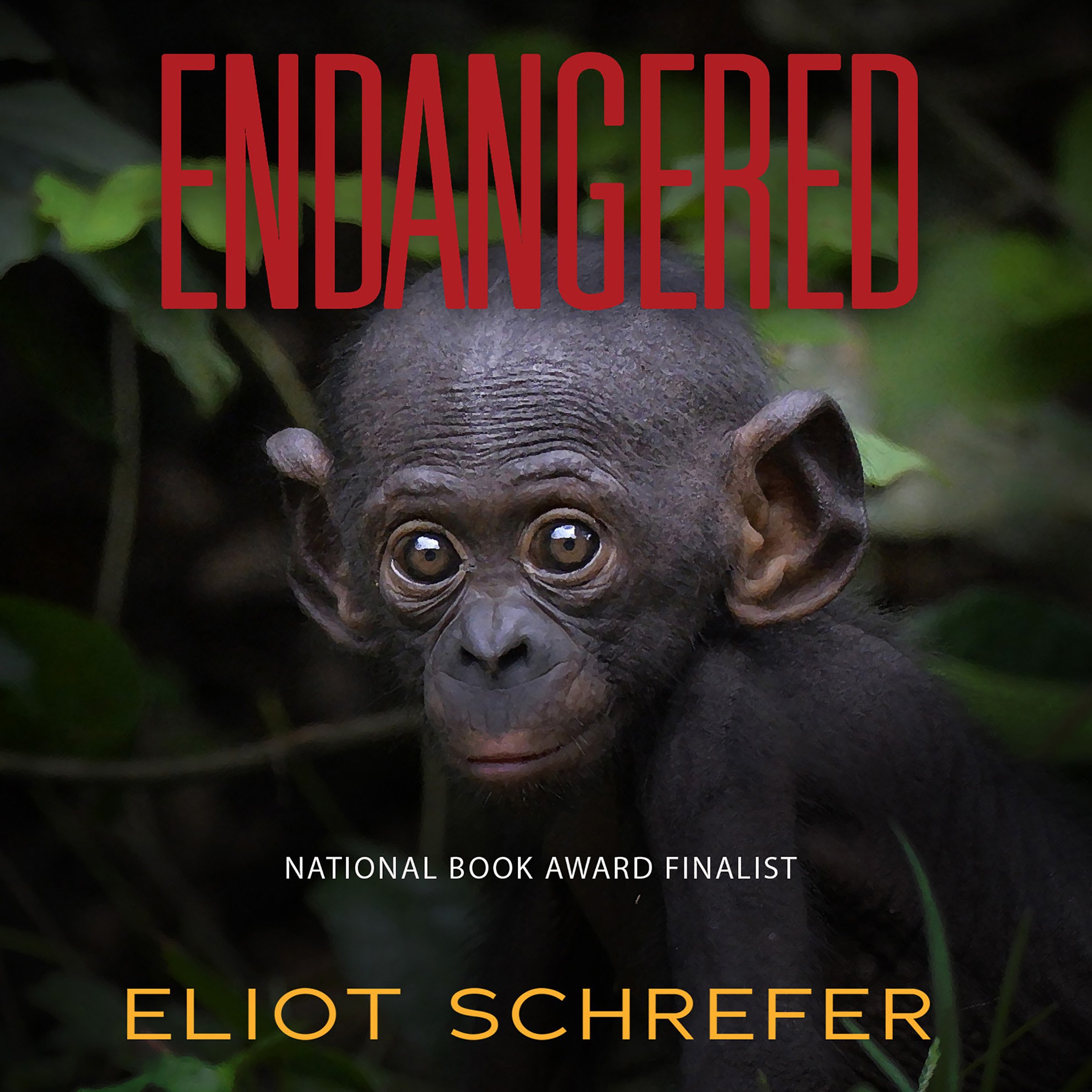 Cover art for Endangered
