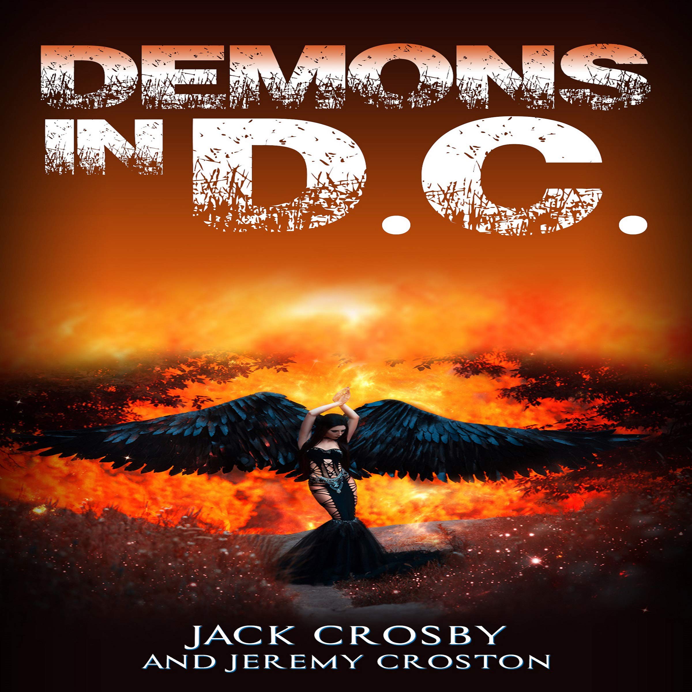 Cover art for Demons in D.C.