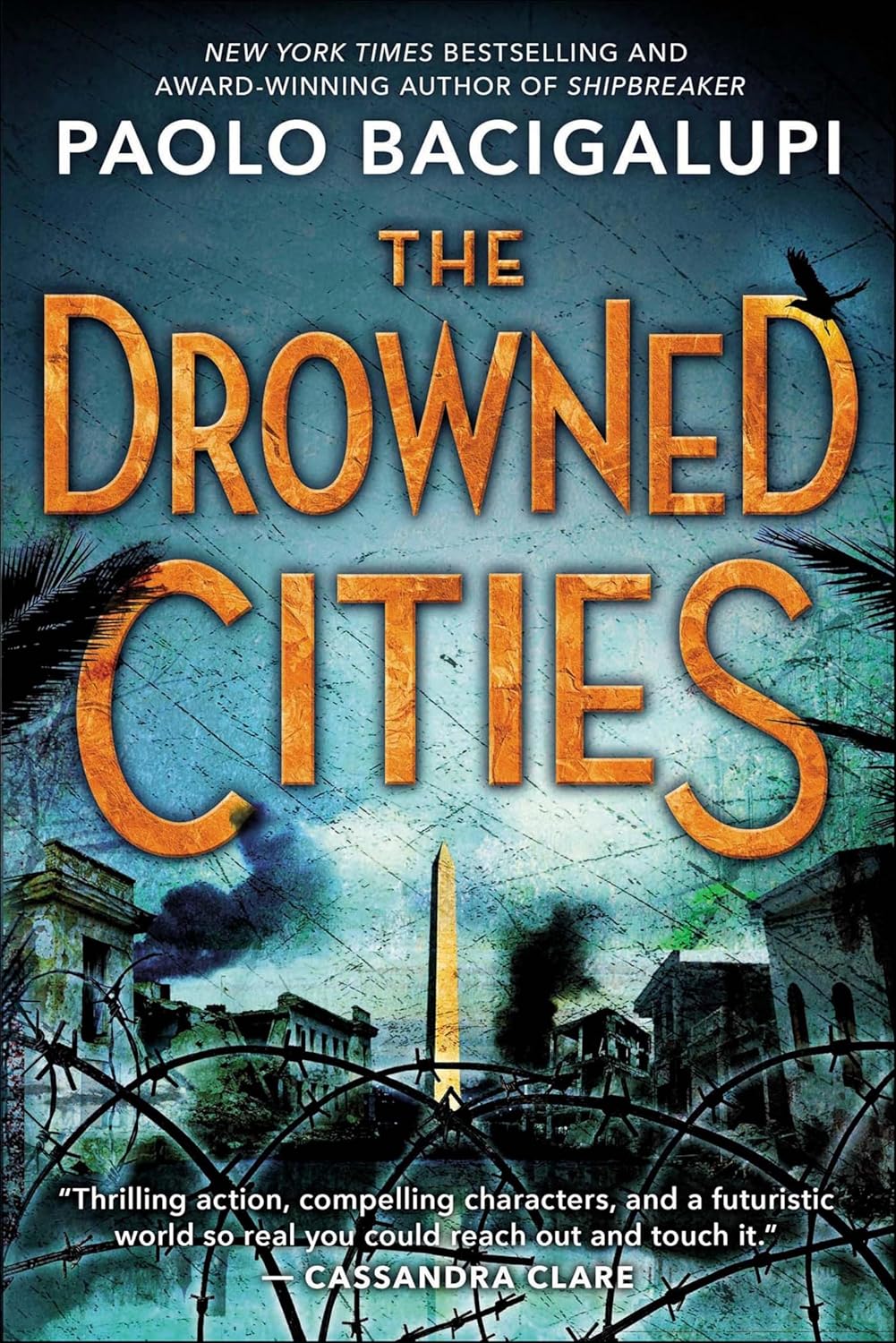 The Drowned Cities (Ship Breaker Book 2)
