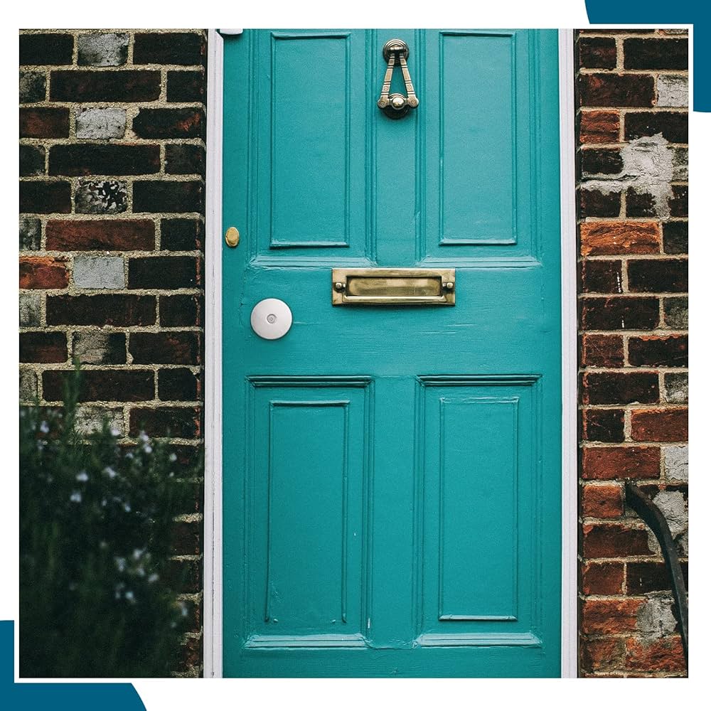 FaB 波止場の交易所 Treasure Foil 2枚セット Gamakatsu がまかつ ストレッチフィッシンググローブ(3本切) GM