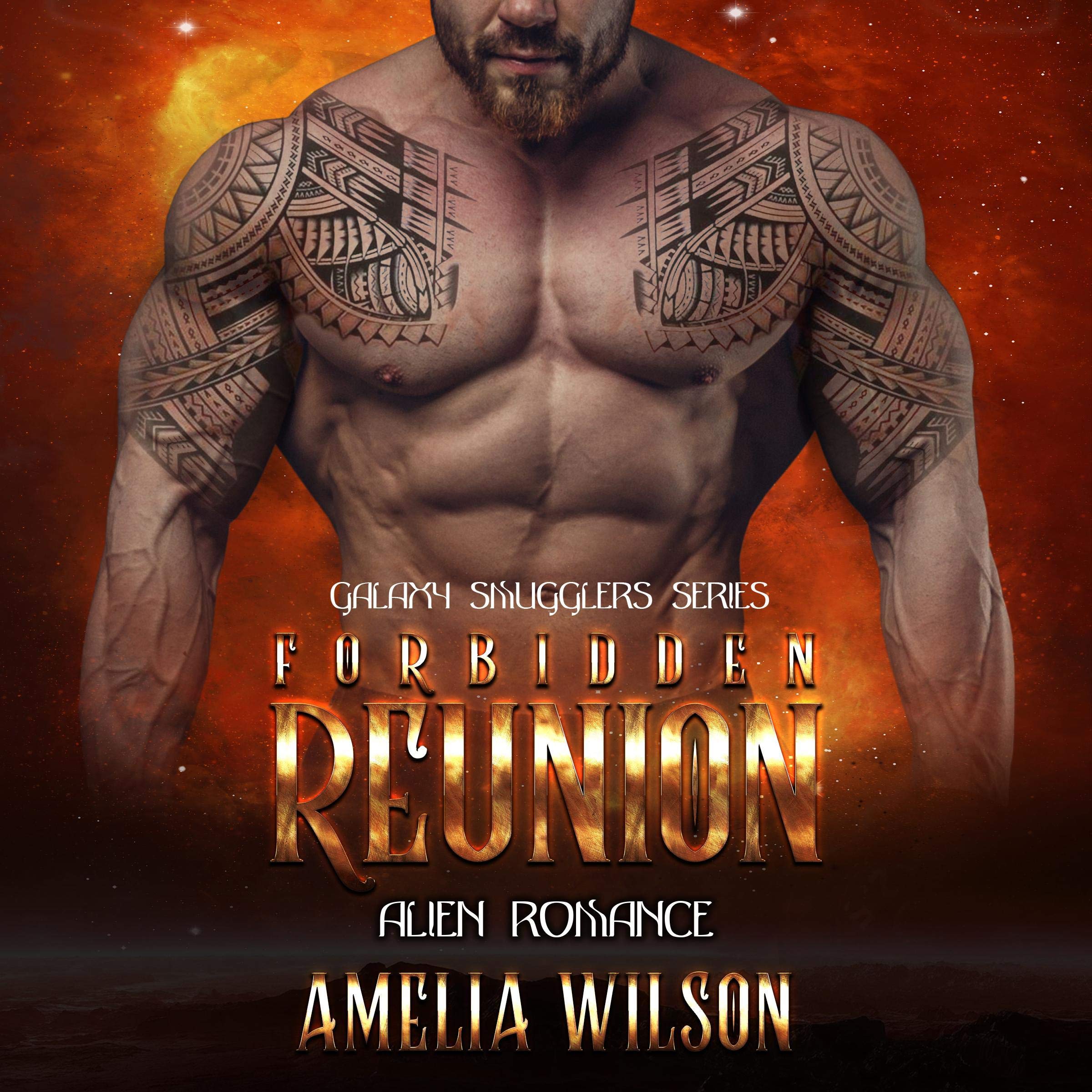 Cover art for Forbidden Reunion