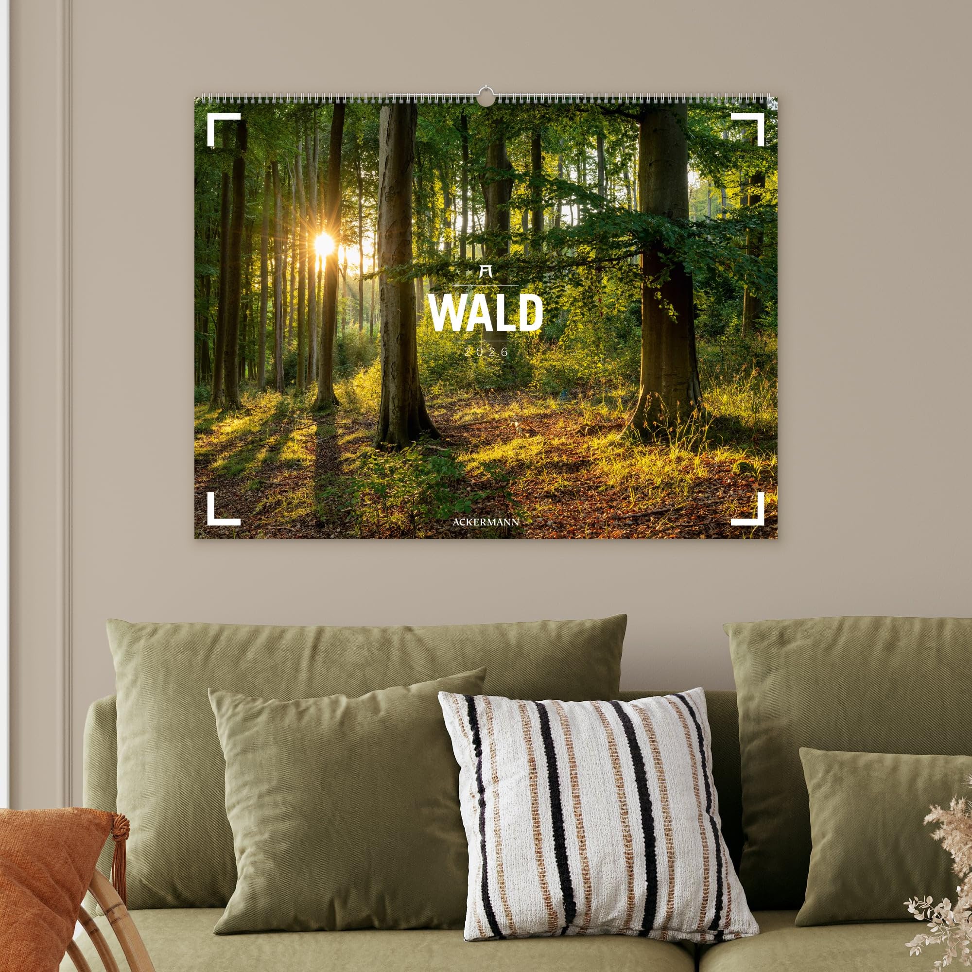 Wald Gallery Kalender 2026 | Geschmackvoller Natur-Kalender im großen Querformat (66x50 cm) | Wälder und Bäume im Großformat