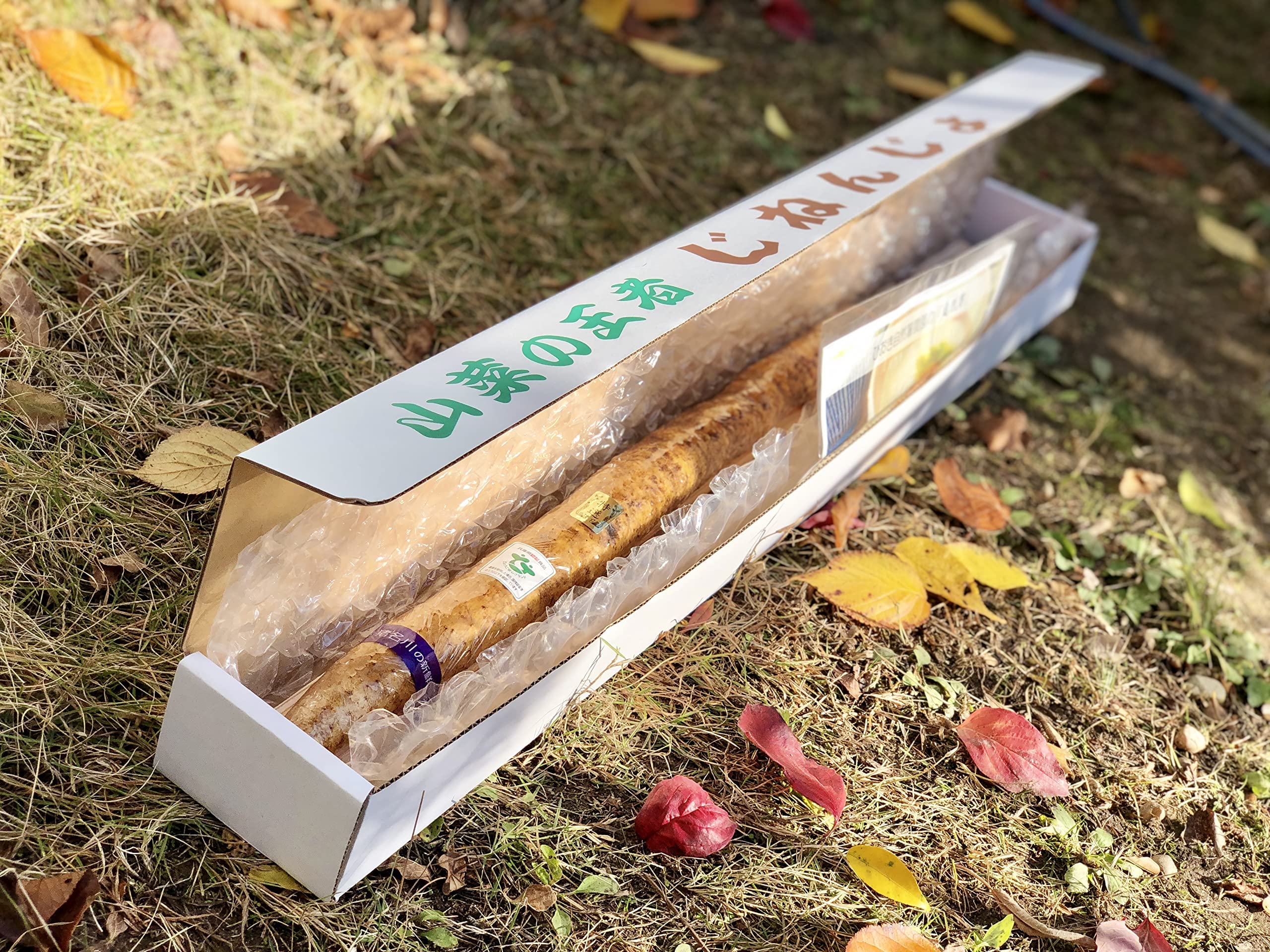 食品 天然自然薯 (折れ) 1キロ