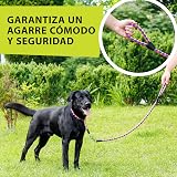 Ver la foto 6