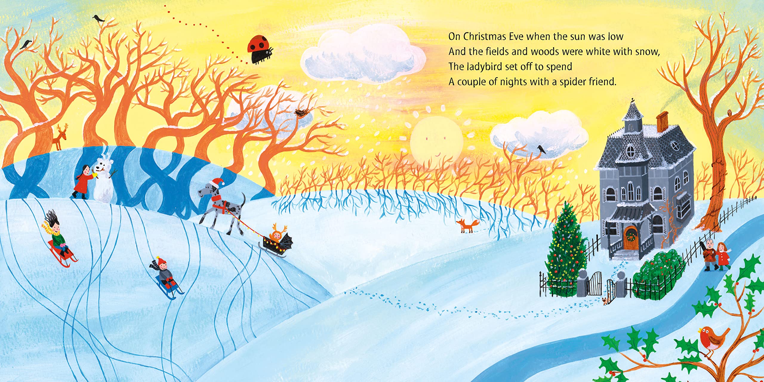 What the Ladybird Heard at Christmas: The Perfect Christmas Gift