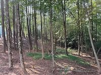 Review Image by John Mayfield John Mayfield