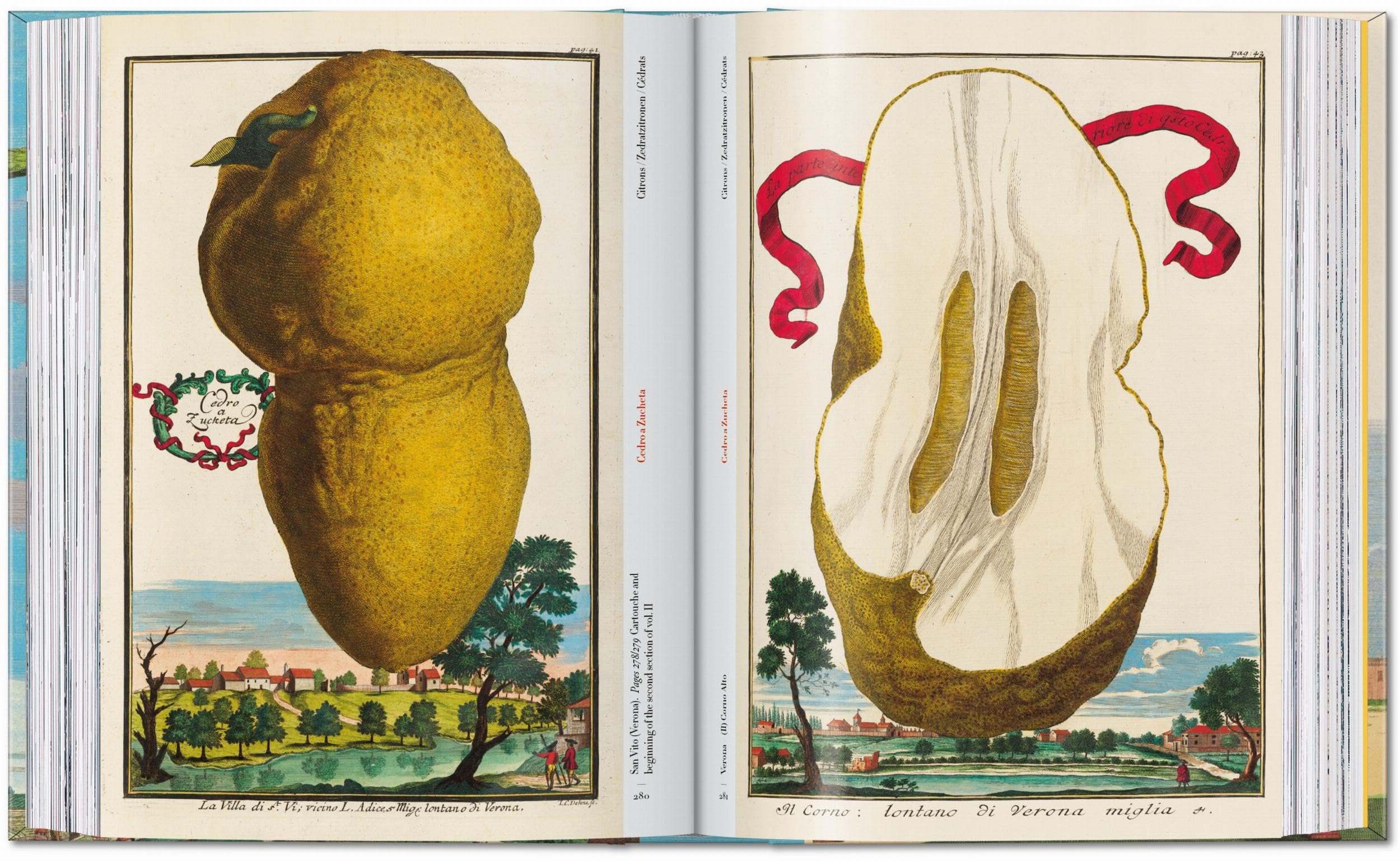 J.C. Volkamer: The Book of Citrus Fruits. 45th Ed.