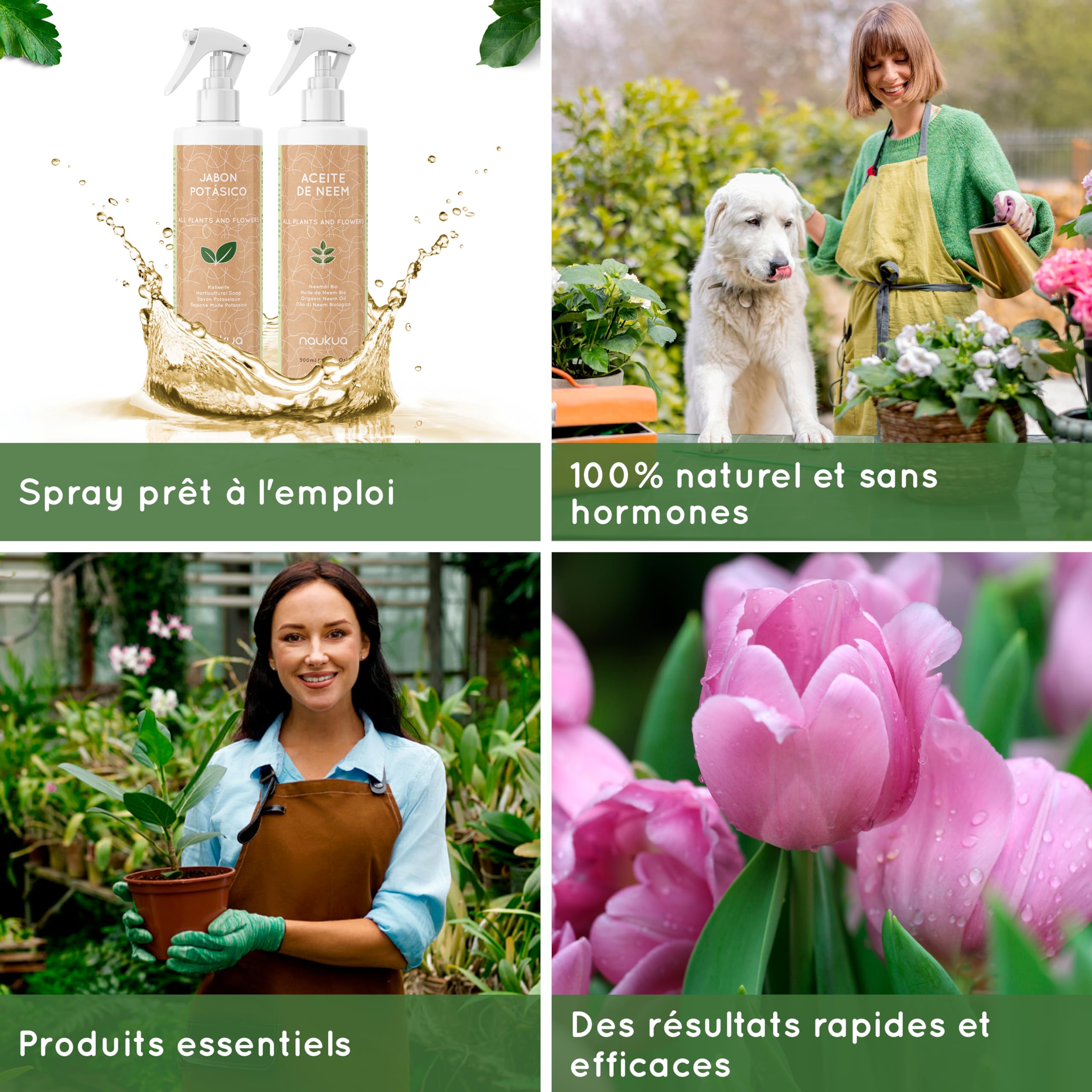 Paquet 2x1 - Savon à l'huile de Neem et au Potassium - 100% Naturel Ecologique - Active Les défenses Naturelles des Plantes d'intérieur et d'extérieur - Spray Prêt à l'emploi, 500 ML chacun