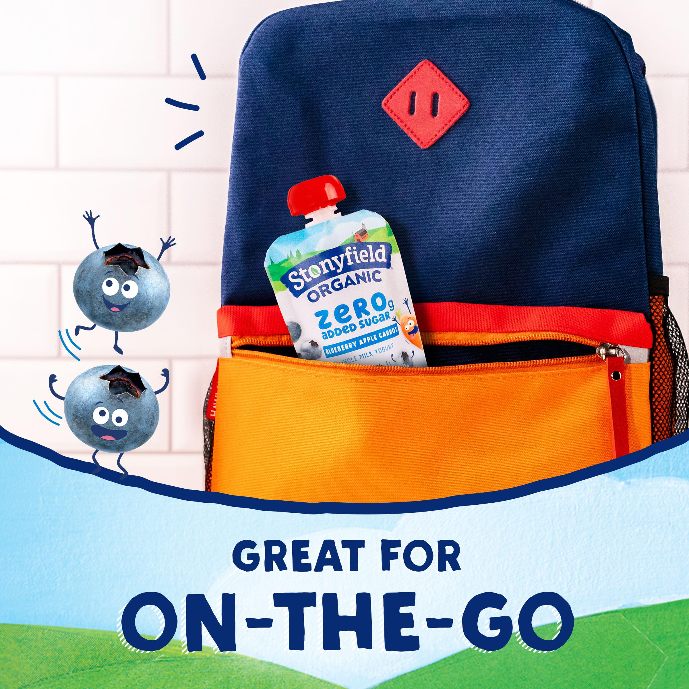 Stonyfield Organic Kids Zero Grams Added Sugar Blueberry Apple Carrot Whole Milk Yogurt 3 5 oz Pouches 4 — view 6