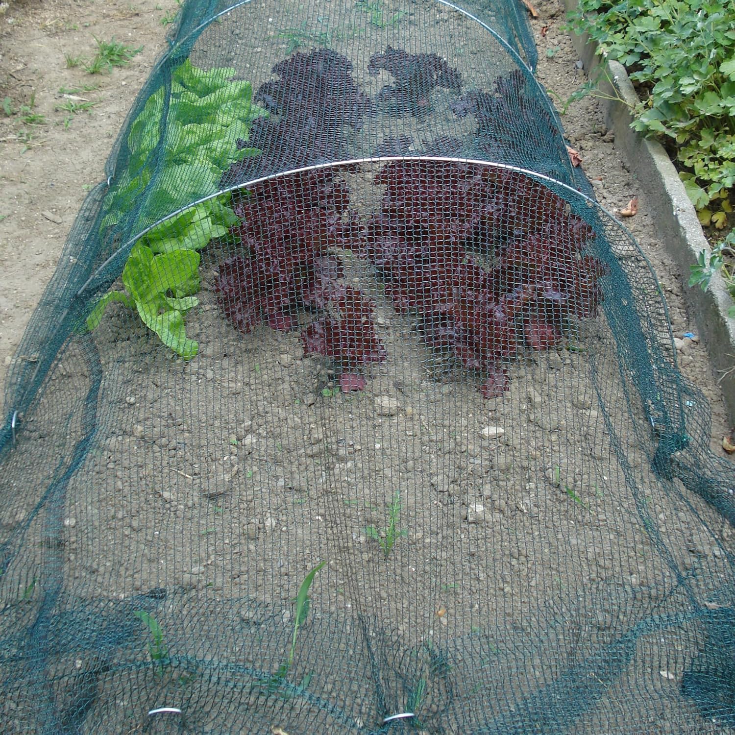 Woven Mesh 6,00 x 10 m green