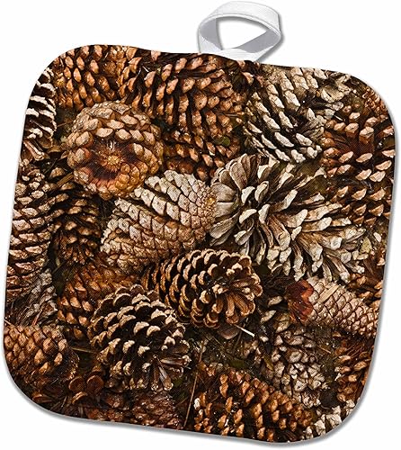 3D Rosa Cono Flora En Bosque Floor-Florida-Us10 Aje0216-Adam Jones Pot Holder 8" x 8"