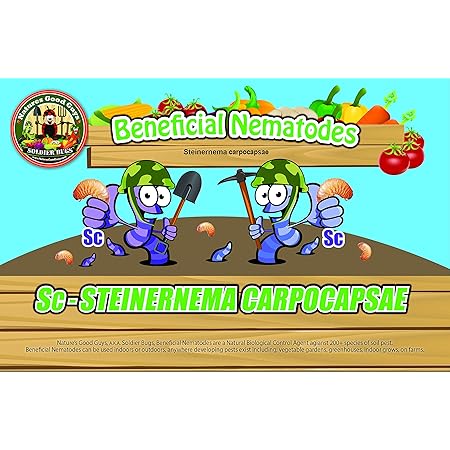 Bug Sales Beneficial Nematodes Steinernema carpocapsae SC - 50 million