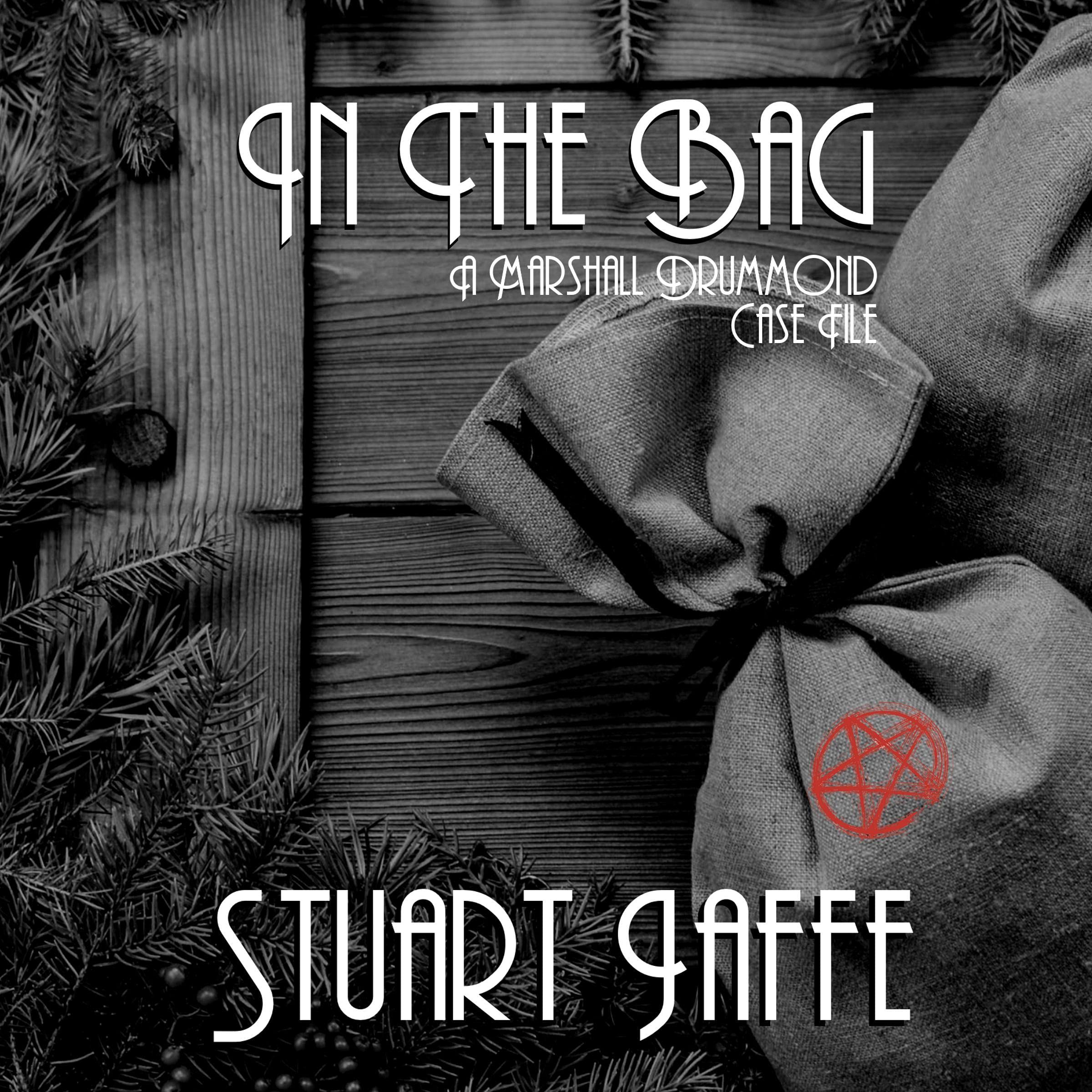 Cover art for In the Bag