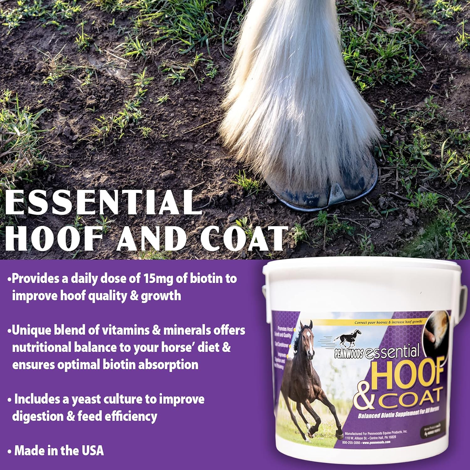 Pennwoods Equine Products Essential Hoof and Coat - 4 LBS | Horse Vitamin | Nutritional Balance | Horse Supplement | Biotin | Hoof Growth | Horse Nutrition | : Horse Nutritional Supplements And Remedies : Pet Supplies