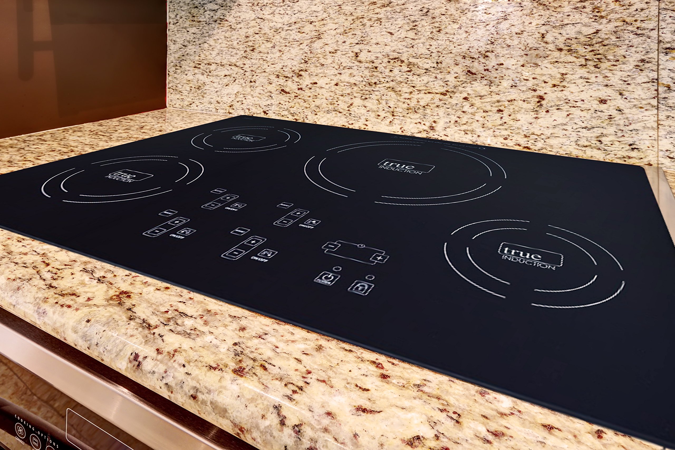 true induction cooktop for rv