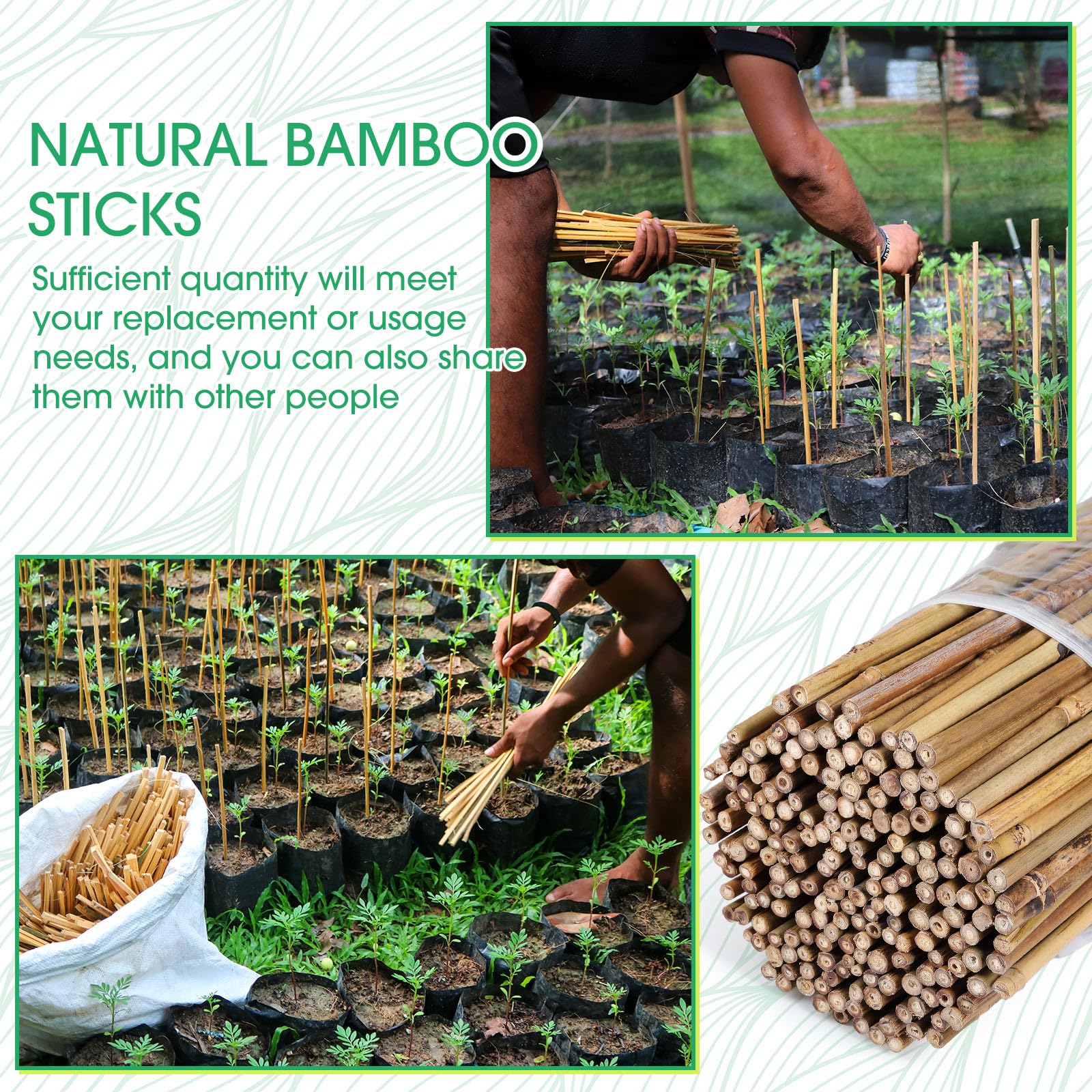 Suclain Estacas de bambú para plantas, estacas de soporte para plantas de interior y exterior, estacas de jardín para tomate, frijoles, flores, árboles en maceta y soporte para plantas trepadoras (200
